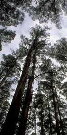 Publications Image 1